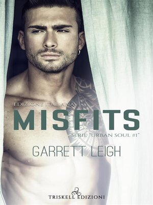 cover image of Misfits